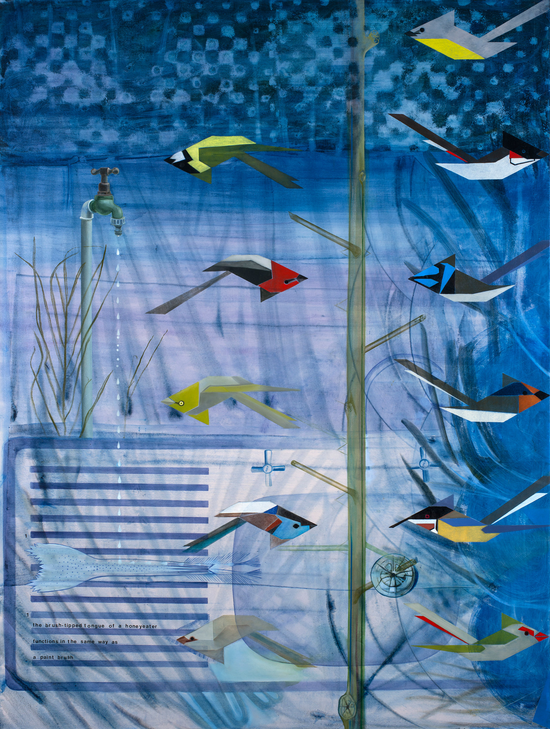 3. The brush-tipped tongue of a honeyeater functions in the same way as a paint brush is a painting by Madeleine Kelly Milani Gallery