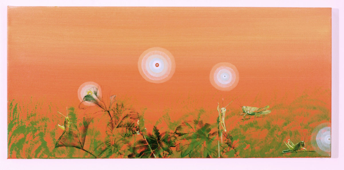 Madeleine Kelly West End Grasshoppers 2008 Oil on polyester 29 x 60 cm