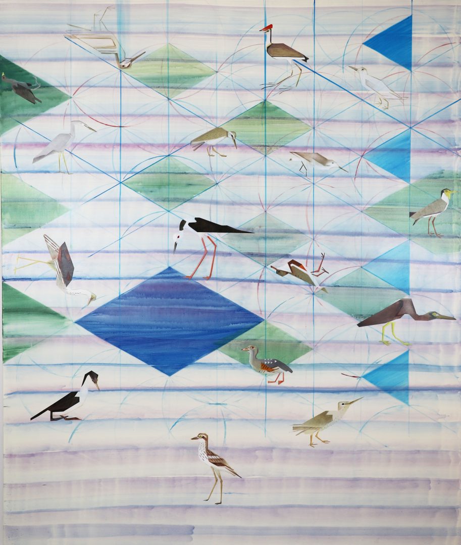 The birds in this painting are based on those from The Bird Hall, Naturkundemuseum Bamberg. In The Zoological Collections at the Museum of Natural History in Bamberg originally from the Godeffroy Museum in Hamburg which provided 80 avifauna species from Queensland, Australia, which were gathered by the professional collector Amalie Dietrich (1821–1891)’. For this painting I identified waterfowl and then chose those collected by Dietrich. The birds’ postures are based on the images in the catalogue with colours enhanced to re-enliven them and their forms were cross-checked online. For example, one can see an Australian Pied Stilt Himantopus leucocephalus based on a taxidermy bird collected/killed by Amelie Dietrich, 1872, Port Mackay. B. Shoreline Birds • Vanellus miles – Masked Lapwing 245 - yes • Pluvialis fulva – Pacific Golden Plover 253 - ? • Erythrogonys cinctus – Red-kneed Dotterel 254 - yes • Heteroscelus incanus – Wandering Tattler 272 - yes • Calidris acuminata – Sharp-tailed Sandpiper 275 - yes • Himantopus leucocephalus – Pied Stilt 364 - yes C. Wetland Birds • Porphyrio melanotus – Australasian Swamphen p 901 • Gallinula mortierii – Tasmanian Native-hen p 257 - yes • Irediparra gallinacea – Comb-crested Jacana p 251 yes • Gallinago hardwickii Latham’s snipe p 263 – yes • Dendrocygna eytoni - Plumed Whistling Duck p 311 - yes • Chenonetta jubata – Australian Wood Duck p 343 • Threskiornis spinicollis – Straw-necked Ibis p 369 • Egretta novaehollandiae – White-faced Heron 349 - yes • Ardea pacifica – White-necked Heron p 349 - yes • Egretta sacra – Pacific Reef Heron p 345 – yes • Anhinga novaehollandiae – Australasian Darter p 340 – does not list AD, AI id’ed. • Phalacrocorax melanoleucos – Little Pied Cormorant p 339 - yes D. Shorebirds and Waders (strong migrants) • Pluvialis fulva – Pacific Golden Plover • Calidris acuminata – Sharp-tailed Sandpiper • Heteroscelus incanus – Wandering Tattler p 273 - yes • Himantopus leucocephalus – Pied Stilt (partial migrant) E. Swamp and woodland bird: Burhinus grallarius Bush-stone curlew p 346 - yes This painting recalls historical images of conference or assembly of birds. However, instead of branches, the birds sit in order on lines, a network of colonising and possible extinction, but also, paradoxically, these geometric structures and connections suggest an intricate mesh of delicate branches, sprouting leaves and depict them as if in harmony with the birds.